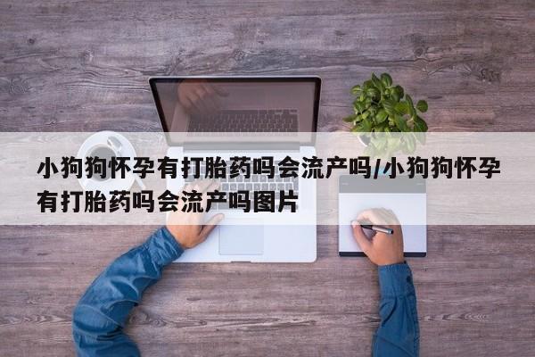 流产药私人联系方式微信小狗狗怀孕有打胎药吗会流产吗/小狗狗怀孕有打胎药吗会流产吗图片
