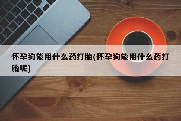 流产药私人联系方式微信怀孕狗能用什么药打胎(怀孕狗能用什么药打胎呢)
