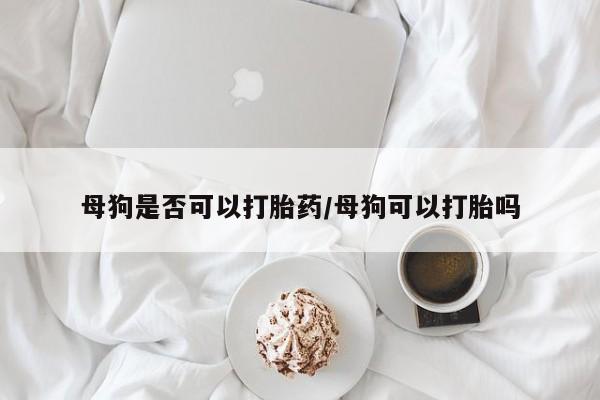 流产药私人联系方式微信母狗是否可以打胎药/母狗可以打胎吗